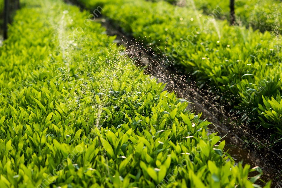 Công ty Giấy An Hoà không ngừng hoàn thiện để trở thành DN phát triển bền vững tại Việt Nam - 1 Công ty Giấy An Hoà không ngừng hoàn thiện để trở thành DN phát triển bền vững tại Việt Nam - 1