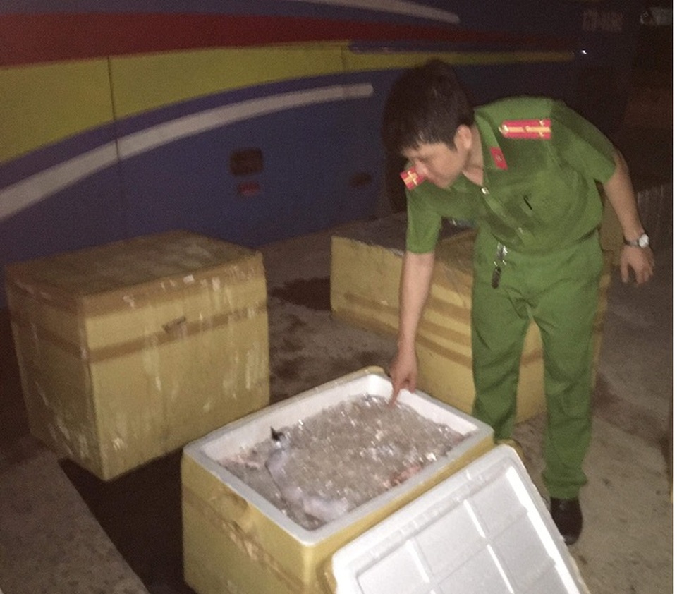 Bắt xe khách chở gần 1 tấn thịt mèo hôi thối - 1 Bắt xe khách chở gần 1 tấn thịt mèo hôi thối - 1