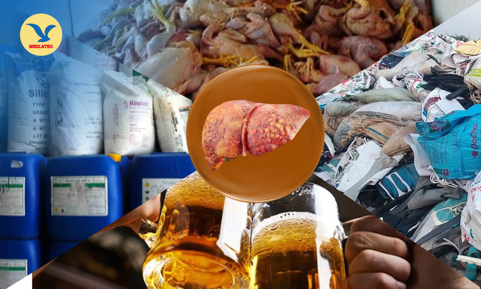 0 đồng để kiểm tra các bệnh lý về máu, men gan chính xác tại MEDLATEC - 1 0 đồng để kiểm tra các bệnh lý về máu, men gan chính xác tại MEDLATEC - 1