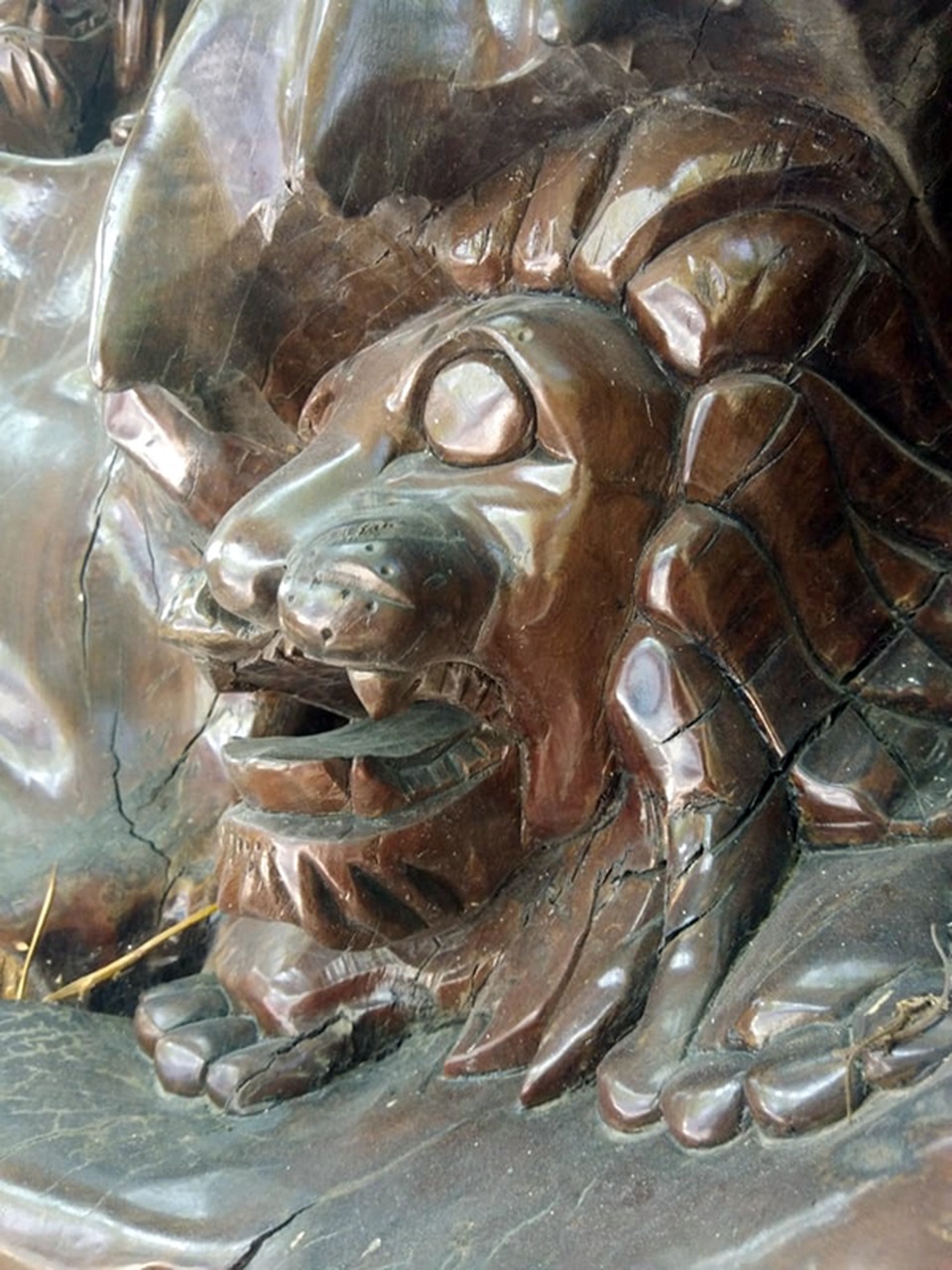 Chiêm ngưỡng bộ rễ gỗ trai tiền tỷ tuyệt đẹp của ông chủ thầu Hà Tĩnh - 7