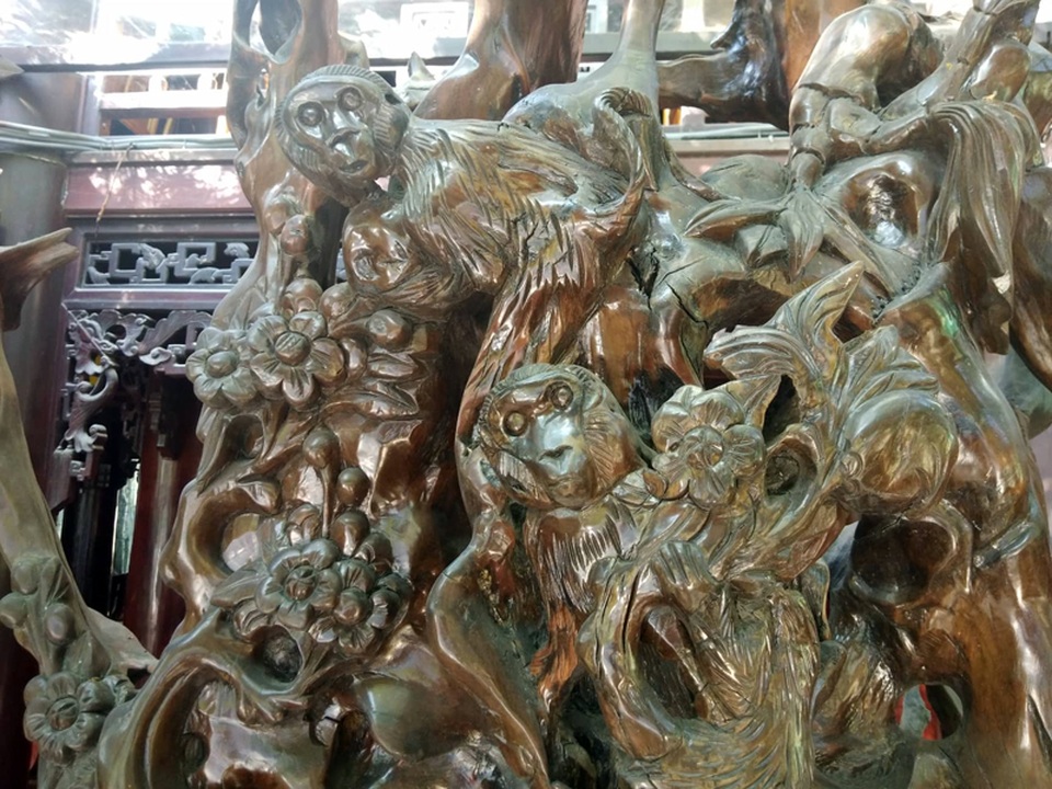 Chiêm ngưỡng bộ rễ gỗ trai tiền tỷ tuyệt đẹp của ông chủ thầu Hà Tĩnh - 2