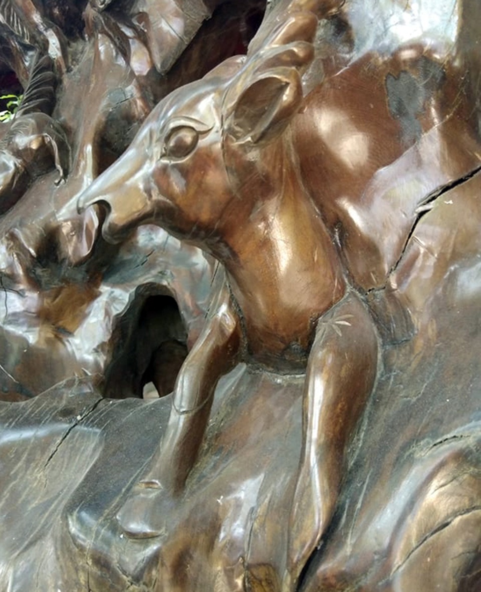 Chiêm ngưỡng bộ rễ gỗ trai tiền tỷ tuyệt đẹp của ông chủ thầu Hà Tĩnh - 8