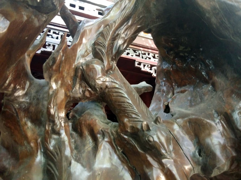 Chiêm ngưỡng bộ rễ gỗ trai tiền tỷ tuyệt đẹp của ông chủ thầu Hà Tĩnh - 9