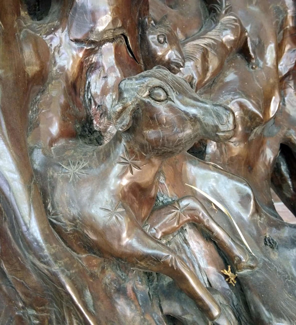 Chiêm ngưỡng bộ rễ gỗ trai tiền tỷ tuyệt đẹp của ông chủ thầu Hà Tĩnh - 6