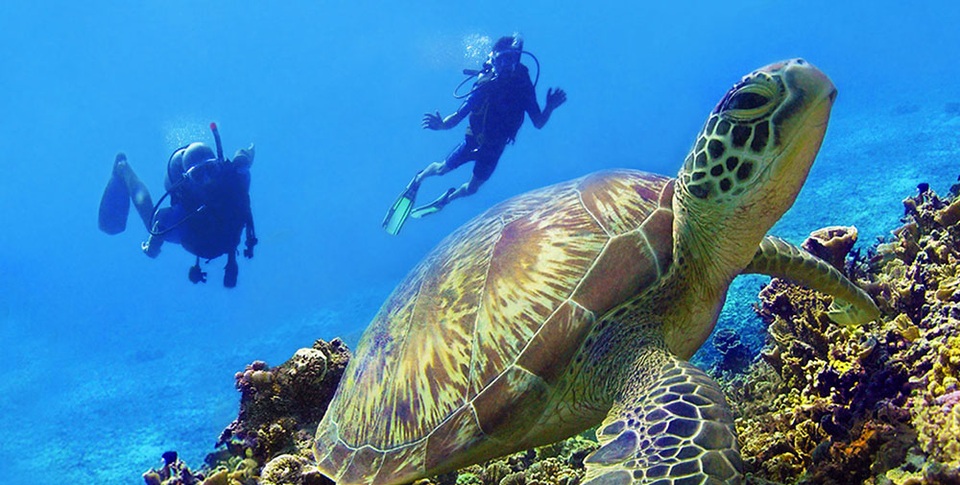 Khách Trung Quốc “nghịch dại”, khóa van bình oxy của bạn khi đang lặn biển - 2