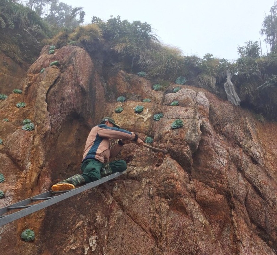 Những người “dệt suối hoa” trên sườn Hoàng Liên Sơn - 2 Những người “dệt suối hoa” trên sườn Hoàng Liên Sơn - 2