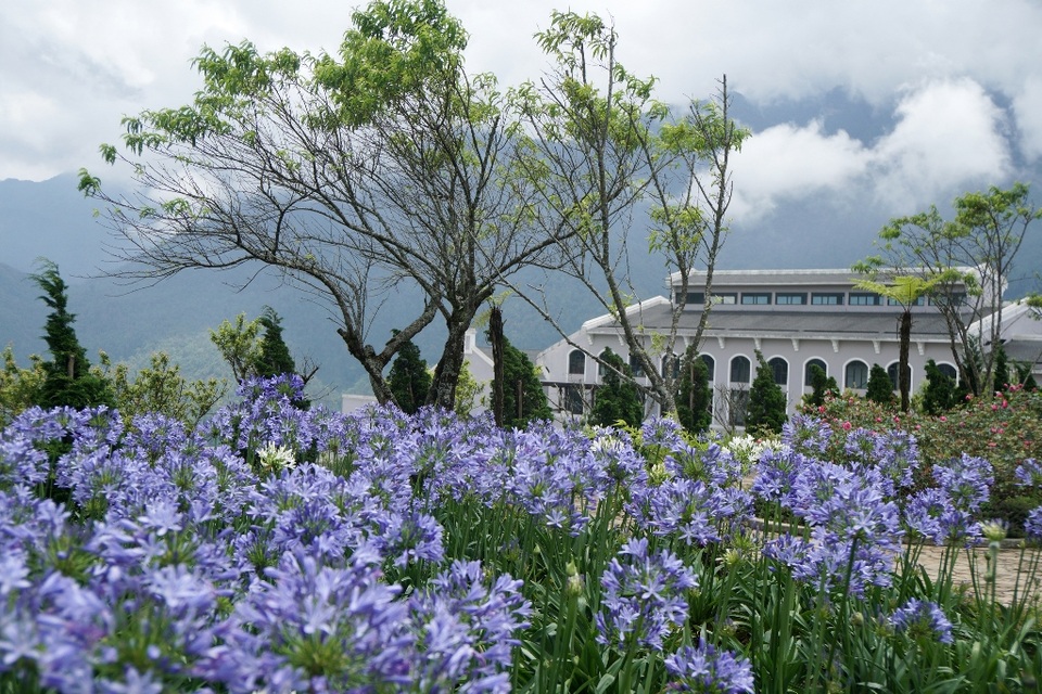 Những người “dệt suối hoa” trên sườn Hoàng Liên Sơn - 5 Những người “dệt suối hoa” trên sườn Hoàng Liên Sơn - 5