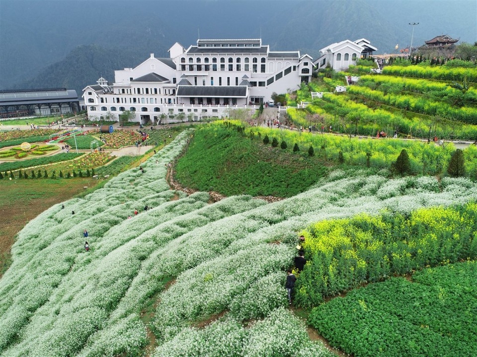 Những người “dệt suối hoa” trên sườn Hoàng Liên Sơn - 6 Những người “dệt suối hoa” trên sườn Hoàng Liên Sơn - 6