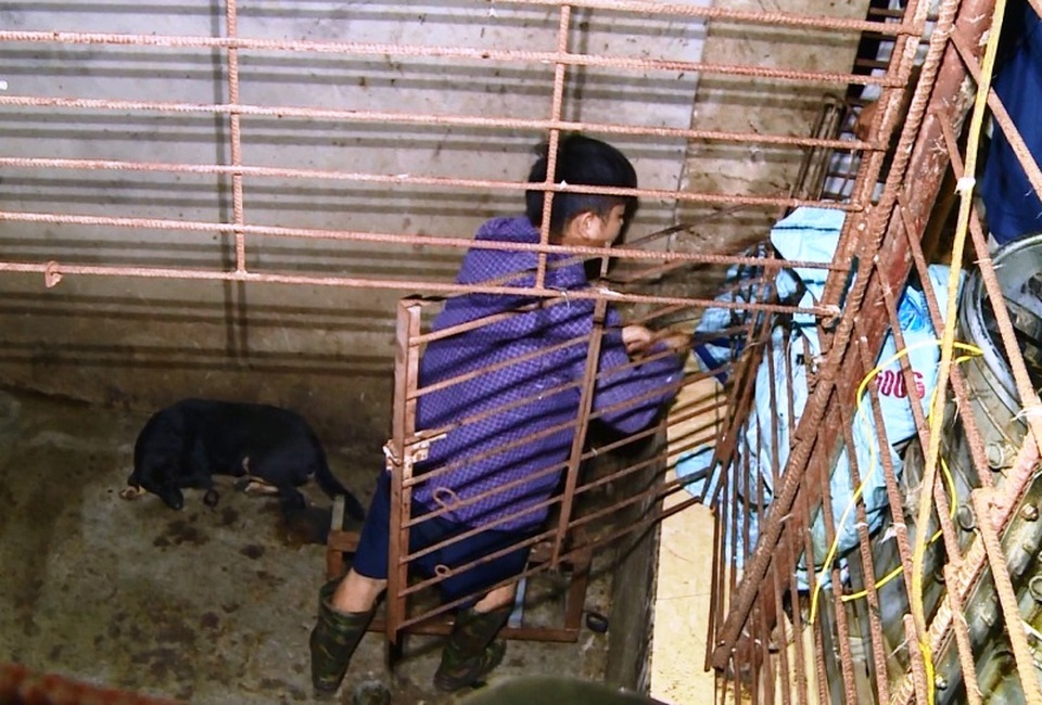 Đường dây trộm hơn 100 tấn chó: Làm hầm bí mật để nhốt chó - 4 Đường dây trộm hơn 100 tấn chó: Làm hầm bí mật để nhốt chó - 4