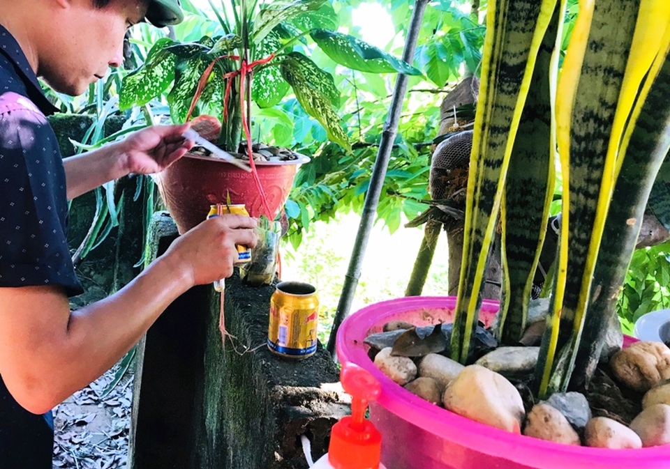 Thanh Hóa xuất hiện ổ dịch sốt xuất huyết đầu tiên - 1 Thanh Hóa xuất hiện ổ dịch sốt xuất huyết đầu tiên - 1