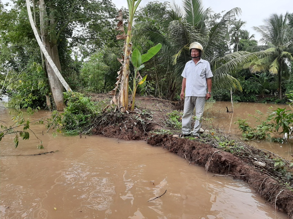Dân cù lao lo lắng sạt lở “tấn công” tại Sóc Trăng! - 3