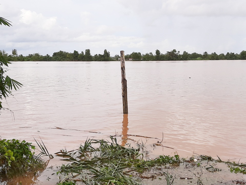 Dân cù lao lo lắng sạt lở “tấn công” tại Sóc Trăng! - 1