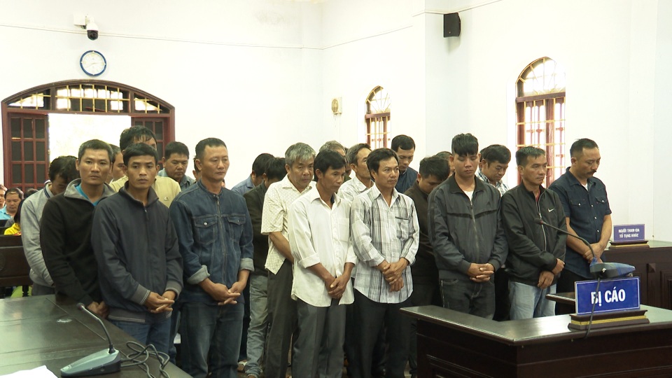 Trùm gỗ lậu Phượng “râu” lĩnh án 8 năm 6 tháng tù - 2