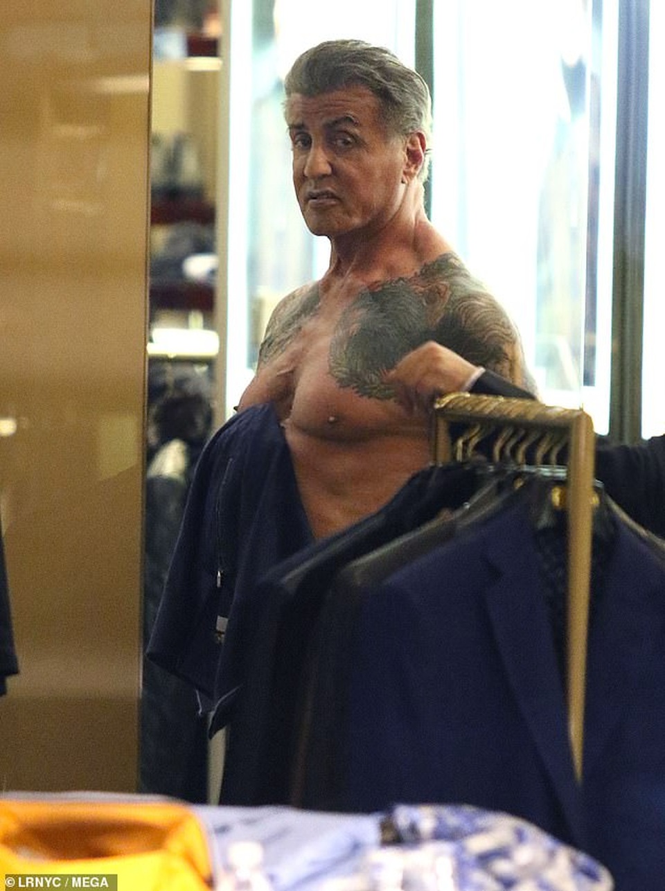 73 tuổi, Rambo Sylvester Stallone vẫn sở hữu thân hình săn chắc - 1 73 tuổi, Rambo Sylvester Stallone vẫn sở hữu thân hình săn chắc - 1
