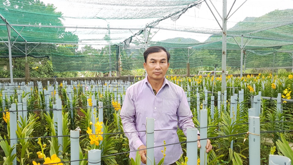 Đưa lan Mokara về miền núi, nông dân Đà Nẵng thu lãi 30 triệu đồng/tháng - 1 Đưa lan Mokara về miền núi, nông dân Đà Nẵng thu lãi 30 triệu đồng/tháng - 1
