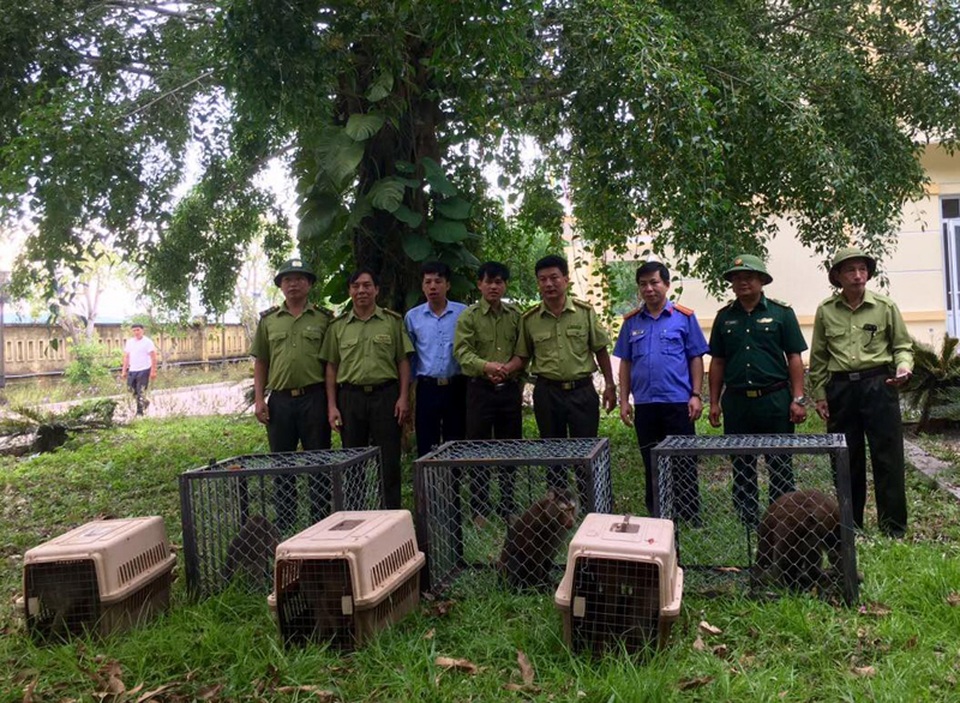 Phát hiện 8 loài thú linh trưởng thuộc 1 bộ, 3 họ tại Vườn Quốc gia Vũ Quang - 1 Phát hiện 8 loài thú linh trưởng thuộc 1 bộ, 3 họ tại Vườn Quốc gia Vũ Quang - 1