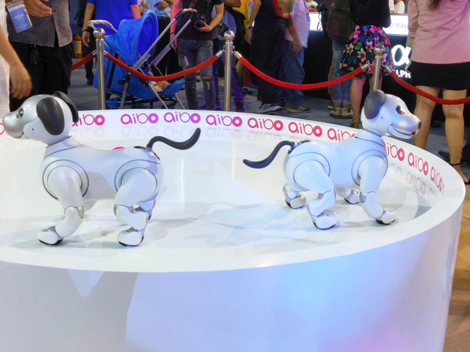 Chú chó robot Aibo lần đầu tiên xuất hiện tại Việt Nam - 3 Chú chó robot Aibo lần đầu tiên xuất hiện tại Việt Nam - 3