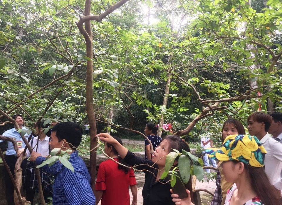 Hàng vạn người hướng về vùng đất thiêng Lam Kinh - 8 Hàng vạn người hướng về vùng đất thiêng Lam Kinh - 8