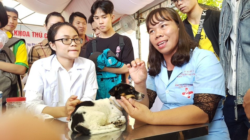 Huế: Tân sinh viên ngành Thú y tò mò xem cách chữa bệnh cho thú cưng - 3 Huế: Tân sinh viên ngành Thú y tò mò xem cách chữa bệnh cho thú cưng - 3