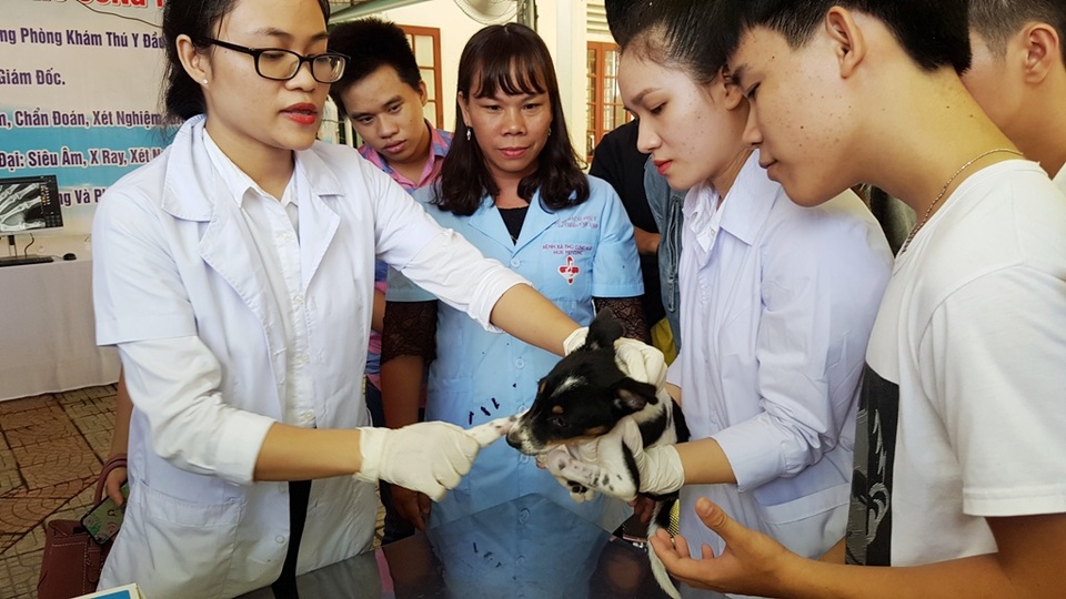 Huế: Tân sinh viên ngành Thú y tò mò xem cách chữa bệnh cho thú cưng - 16 Huế: Tân sinh viên ngành Thú y tò mò xem cách chữa bệnh cho thú cưng - 16