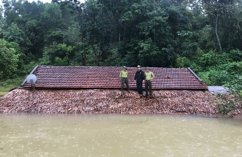 Bị nước lũ nhấn chìm, VQG Vũ Quang khẩn cấp kêu cứu - 1