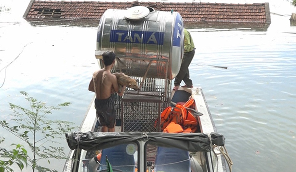 Bị nước lũ nhấn chìm, VQG Vũ Quang khẩn cấp kêu cứu - 3