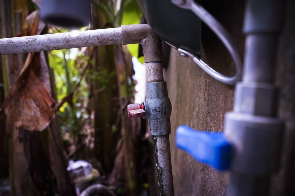 TPHCM: Nước máy quá bẩn chỉ dùng để... tưới cây, người dân lo thắt ruột! - 3