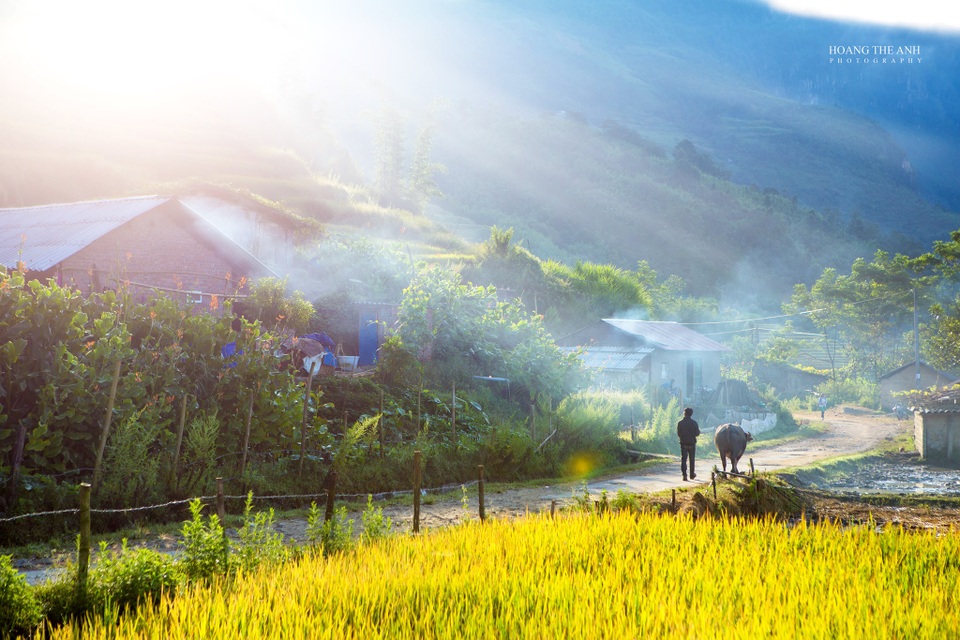 3 thiên đường “mùa vàng” ở Tây Bắc, đến khách Tây cũng “mê như điếu đổ” - 6 3 thiên đường “mùa vàng” ở Tây Bắc, đến khách Tây cũng “mê như điếu đổ” - 6