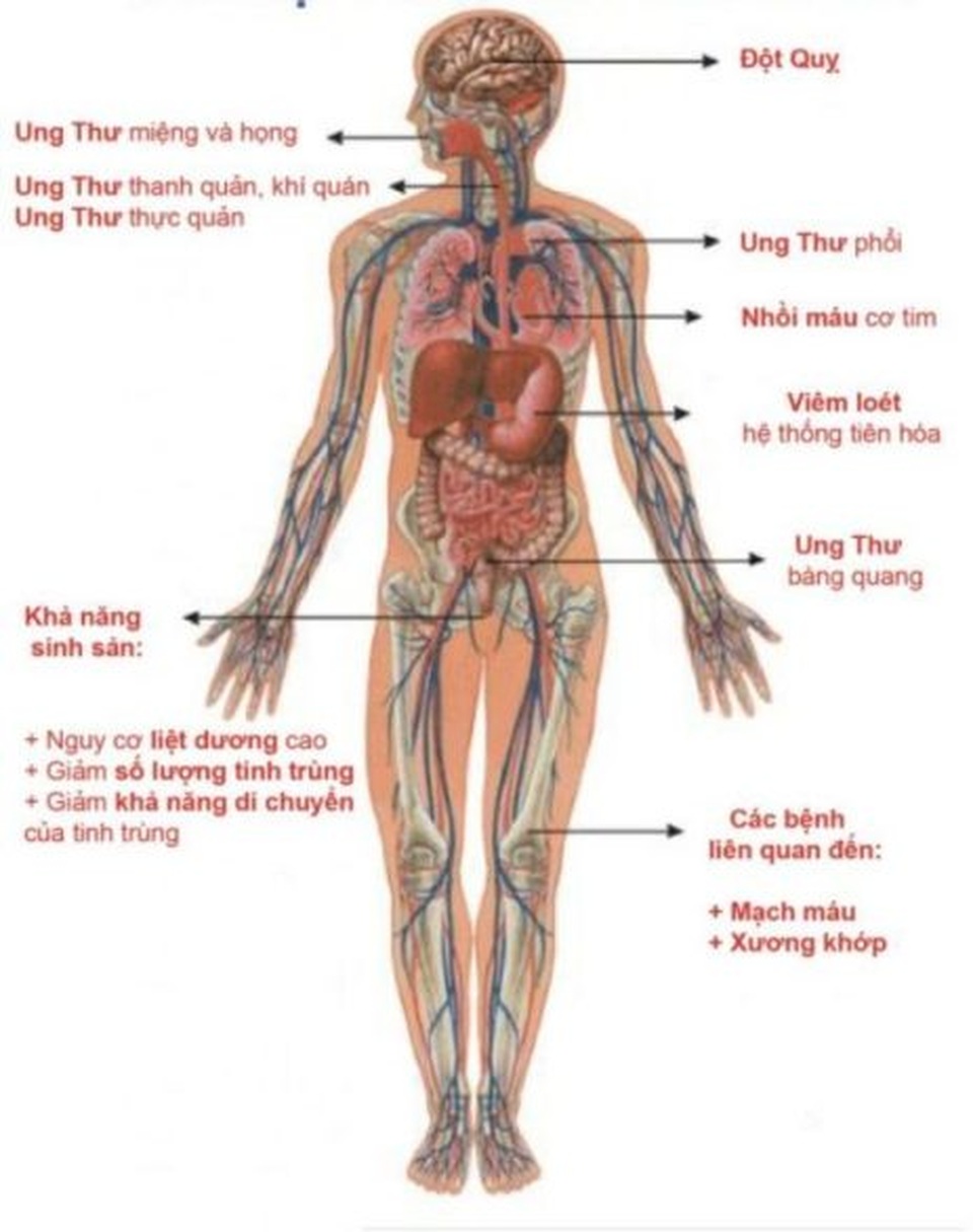 Sử dụng miếng dán nicotine và thuốc lá điện tử có cai được thuốc lá? - 2 Sử dụng miếng dán nicotine và thuốc lá điện tử có cai được thuốc lá? - 2