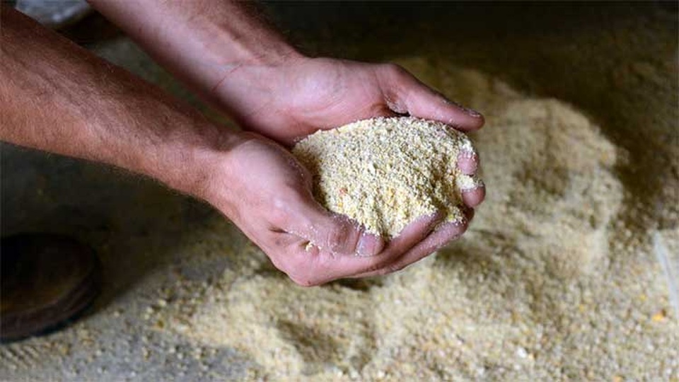 Gà quốc bảo dành cho nhà cực giàu, thịt ngon và đẳng cấp thế nào? - 7 Gà quốc bảo dành cho nhà cực giàu, thịt ngon và đẳng cấp thế nào? - 7