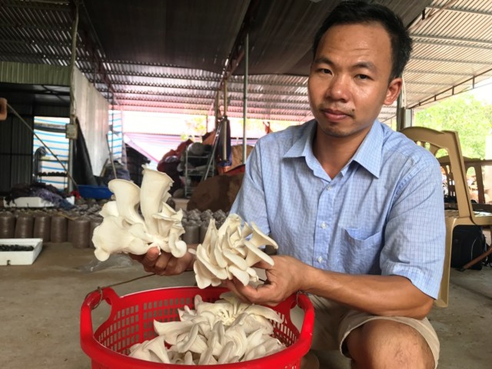 Thanh Hóa: Bỏ việc nhà nước về kiếm 300 triệu đồng/năm từ trồng nấm - 5 Thanh Hóa: Bỏ việc nhà nước về kiếm 300 triệu đồng/năm từ trồng nấm - 5