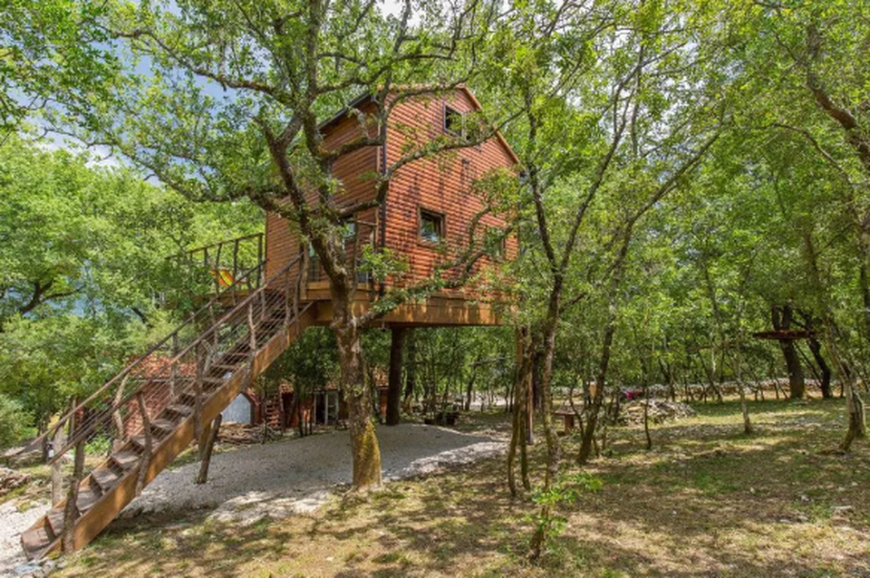 Nhà trên cây – xu hướng mới đang bùng nổ hơn bao giờ hết - 1