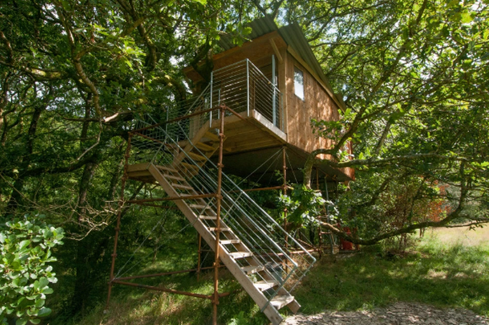 Nhà trên cây – xu hướng mới đang bùng nổ hơn bao giờ hết - 3