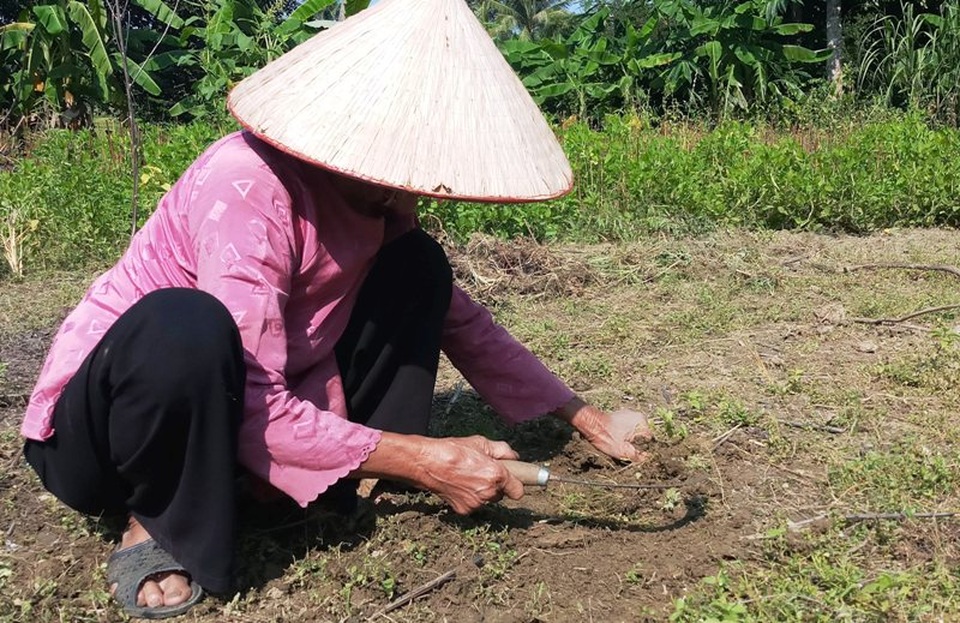 Cụ bà 83 tuổi đạp xe lên xã quyết xin ra khỏi hộ nghèo - 2 Cụ bà 83 tuổi đạp xe lên xã quyết xin ra khỏi hộ nghèo - 2