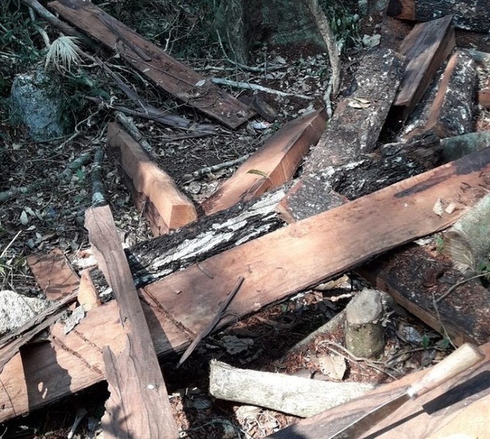 Vụ phá rừng di sản tại Quảng Bình: 7 cán bộ biên phòng bị kỷ luật - 3