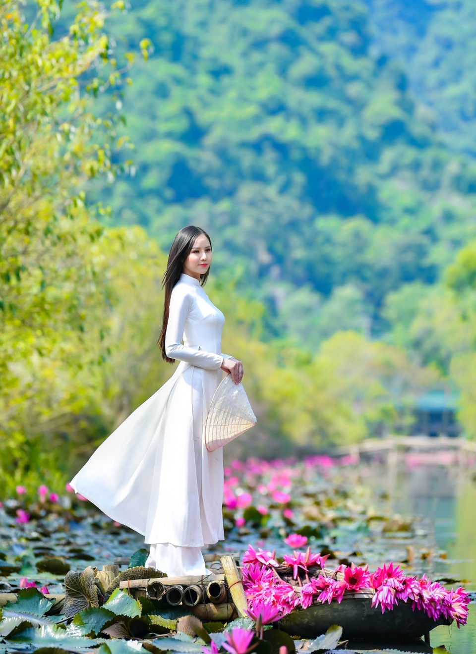 Mùa hoa súng trên dòng Suối Yến hút hồn người thiếu nữ - 2 Mùa hoa súng trên dòng Suối Yến hút hồn người thiếu nữ - 2