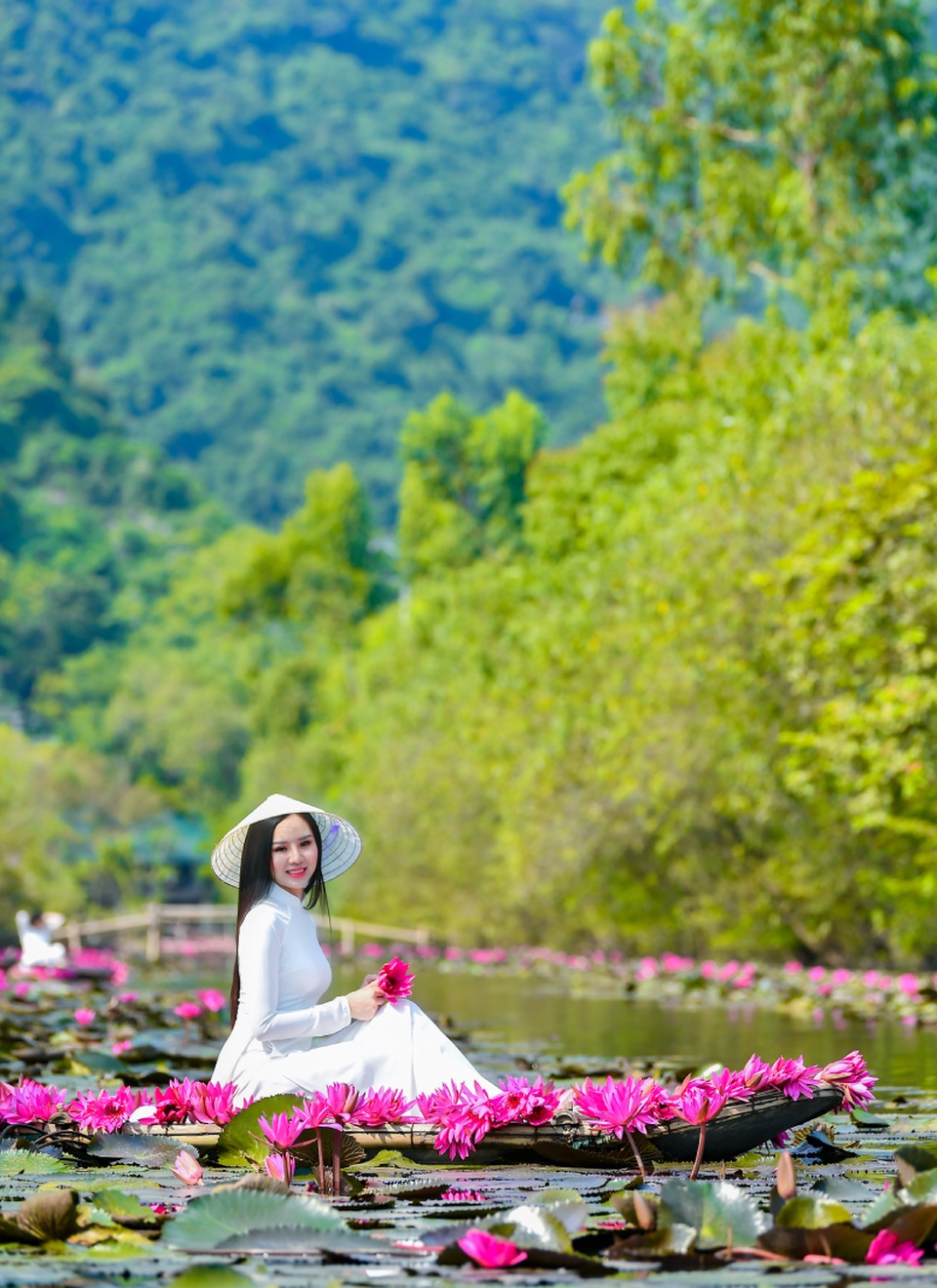 Mùa hoa súng trên dòng Suối Yến hút hồn người thiếu nữ - 3 Mùa hoa súng trên dòng Suối Yến hút hồn người thiếu nữ - 3