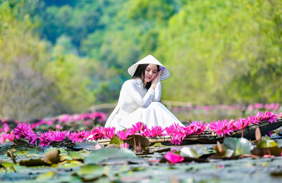 Mùa hoa súng trên dòng Suối Yến hút hồn người thiếu nữ - 7 Mùa hoa súng trên dòng Suối Yến hút hồn người thiếu nữ - 7