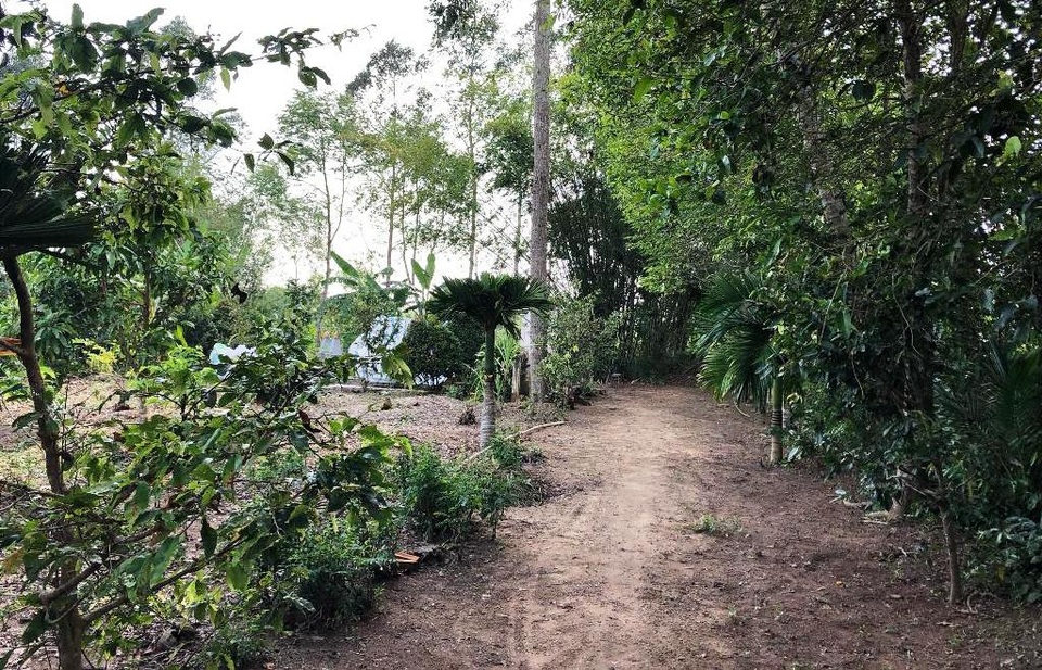 Quê nhà rưng rưng chờ đón Đại tá phi công về an nghỉ - 8 Quê nhà rưng rưng chờ đón Đại tá phi công về an nghỉ - 8