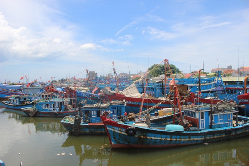 Ngư dân làng biển tỷ phú vay nợ 1.000 tỷ đồng - 1 Ngư dân làng biển tỷ phú vay nợ 1.000 tỷ đồng - 1