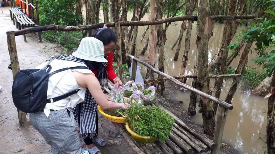 Hoà mình vào thiên nhiên trên cây cầu tình yêu trong rừng tràm Trà Sư - 7 Hoà mình vào thiên nhiên trên cây cầu tình yêu trong rừng tràm Trà Sư - 7