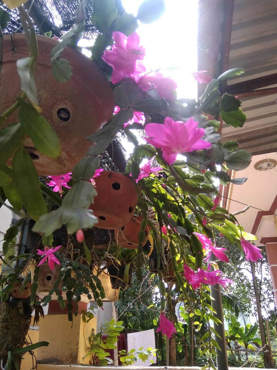 Thất nghiệp nửa vời, thu nhập chạm đáy, mẹ Việt có kế hoạch sống đáng nể - 2 Thất nghiệp nửa vời, thu nhập chạm đáy, mẹ Việt có kế hoạch sống đáng nể - 2