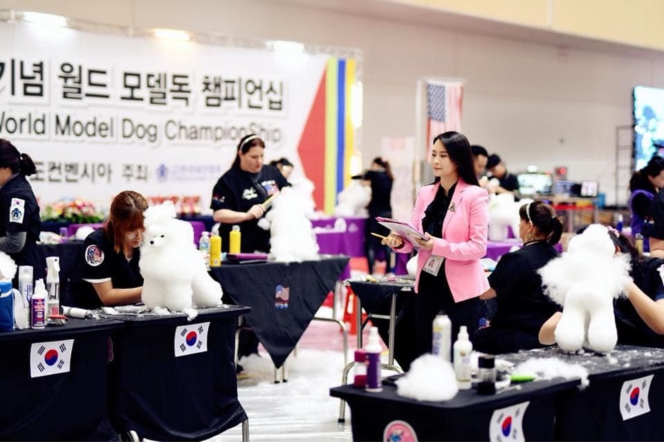 Cuộc thi tạo mẫu lông Quốc tế WGA - Cơ hội Phát triển cho nghề Grooming (nghề cắt lông thú cưng) - 2 Cuộc thi tạo mẫu lông Quốc tế WGA - Cơ hội Phát triển cho nghề Grooming (nghề cắt lông thú cưng) - 2