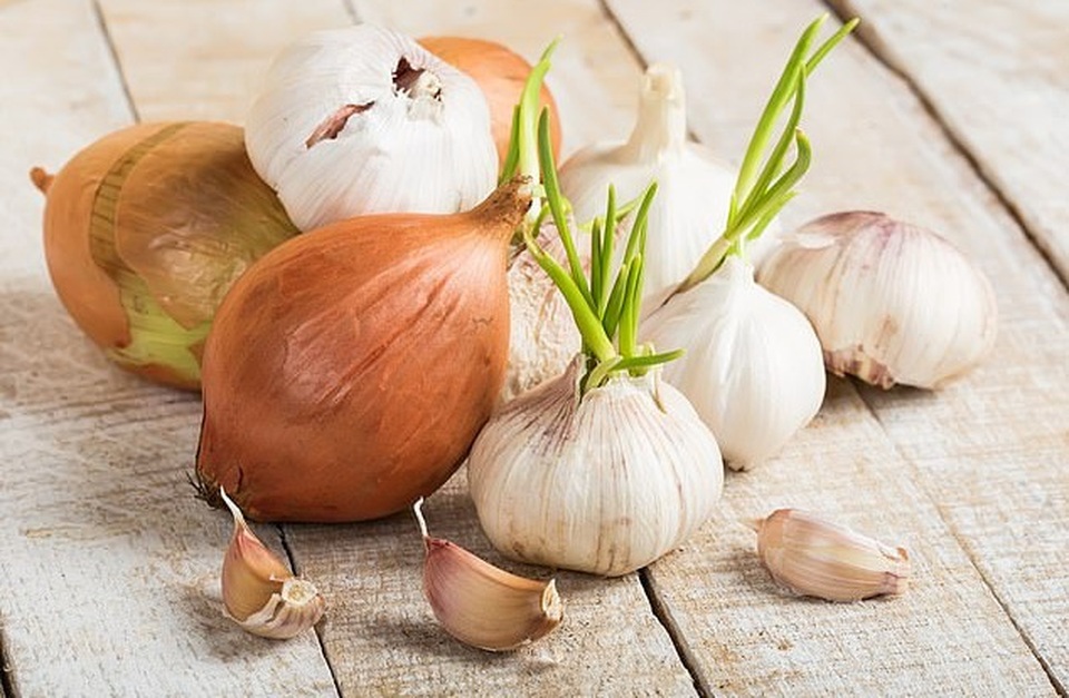 Ăn tỏi và hành sống mỗi ngày giảm gần 70% nguy cơ ung thư vú - 1 Ăn tỏi và hành sống mỗi ngày giảm gần 70% nguy cơ ung thư vú - 1