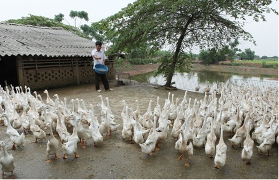 Hơn 3,7 triệu lao động có việc làm nhờ Quỹ Quốc gia việc làm - 2 Hơn 3,7 triệu lao động có việc làm nhờ Quỹ Quốc gia việc làm - 2