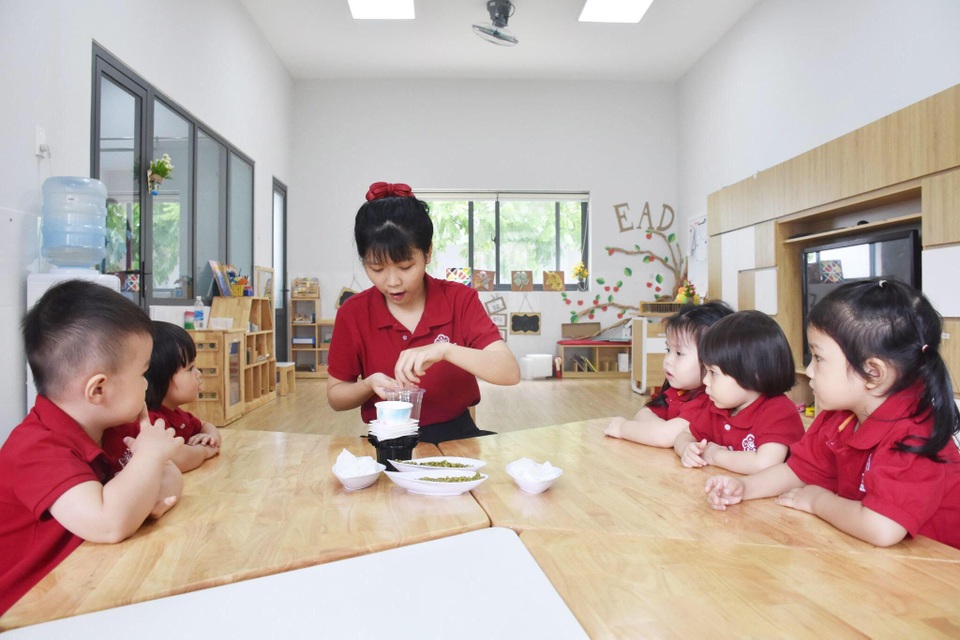 Tiêu chí chọn trường mầm non chất lượng cho con tại TP. Hồ Chí Minh - 2 Tiêu chí chọn trường mầm non chất lượng cho con tại TP. Hồ Chí Minh - 2