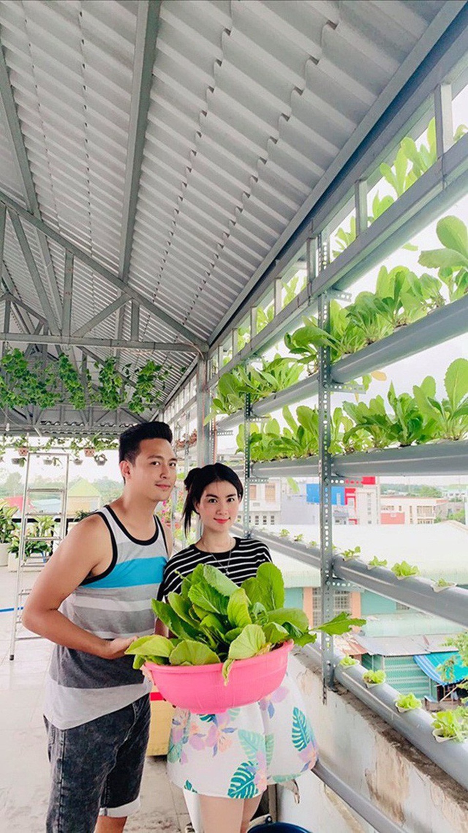 Vườn rau thủy canh ấn tượng trên sân thượng nhà nữ diễn viên “Cổng mặt trời” - 5 Vườn rau thủy canh ấn tượng trên sân thượng nhà nữ diễn viên “Cổng mặt trời” - 5