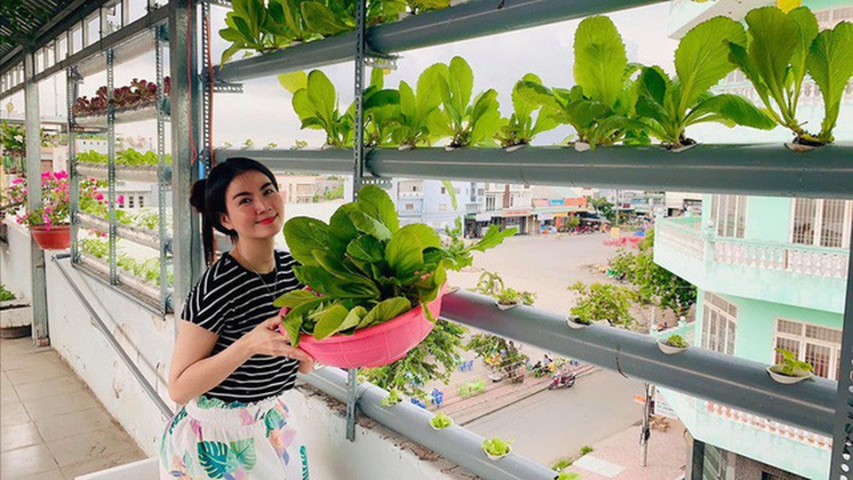Vườn rau thủy canh ấn tượng trên sân thượng nhà nữ diễn viên “Cổng mặt trời” - 13 Vườn rau thủy canh ấn tượng trên sân thượng nhà nữ diễn viên “Cổng mặt trời” - 13