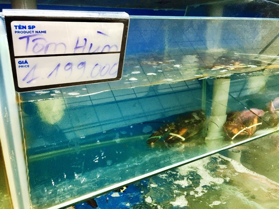 Cua hoàng đế “sang chảnh” rớt giá, giảm hơn nửa triệu đồng/kg - 3 Cua hoàng đế “sang chảnh” rớt giá, giảm hơn nửa triệu đồng/kg - 3