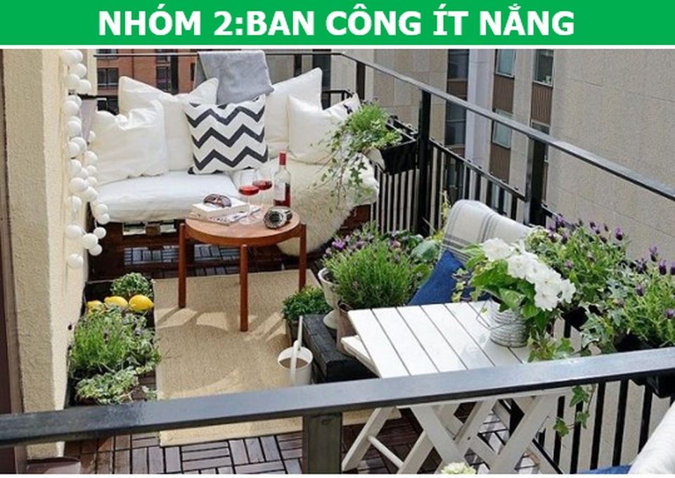 Trồng cây cảnh ở ban công chung cư, làm sao để vừa đẹp vừa nhàn? - 8 Trồng cây cảnh ở ban công chung cư, làm sao để vừa đẹp vừa nhàn? - 8